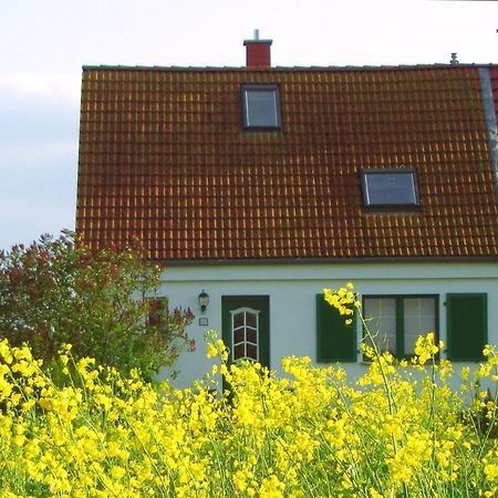 Ferienwohnung Ferienhaus Luise Ludershagen Exterior foto