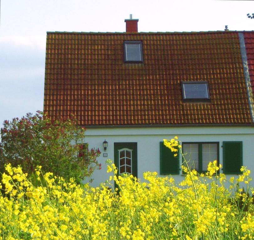 Ferienwohnung Ferienhaus Luise Ludershagen Exterior foto